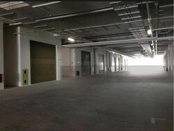 North Spring Bizhub (D27), Factory #466449721